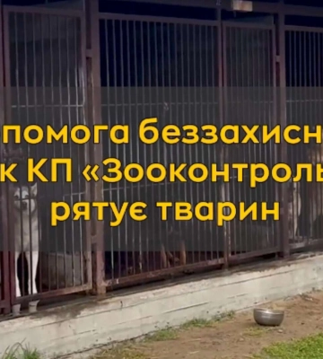 Помощь беззащитным: как КП «Зооконтроль» в Днепре спасает животных
