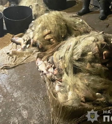 "Нарибалили" на понад півтора мільйона гривень: на Вінниччині затримали браконьєрів