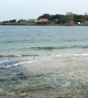 В Одесі взялися за проблему забруднення стічними водами пляжу «Чорноморка»