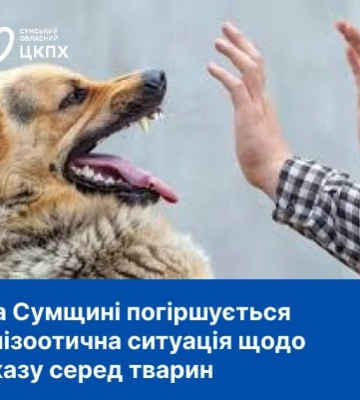 На Сумщині погіршується епізоотична ситуація зі сказом серед тварин