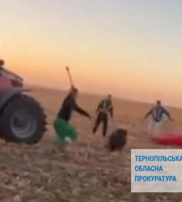 У жатку комбайна потрапив дикий кабан. Добивали втрьох