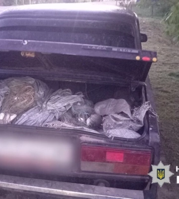 Житель Одещини отримав вирок за браконьєрство на озері Сасик