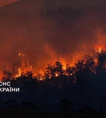 За минулу добу на Львівщині палало більше ніж 5 200 кв. м сухої трави