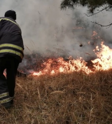 За минулу добу на Львівщині палало більше ніж 5 200 кв. м сухої трави