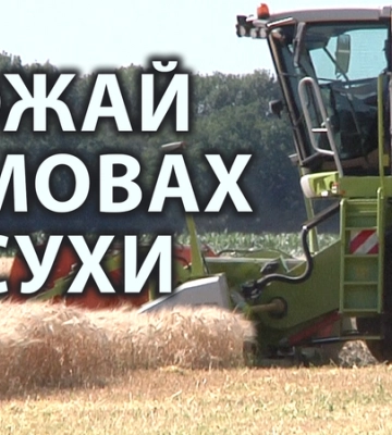 Чи вб'є погода врожай на Кіровоградщині (відео)