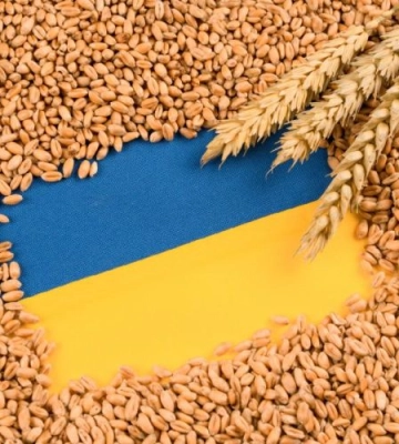 За півтора року з портів Одещини експортували рекордну кількість зерна