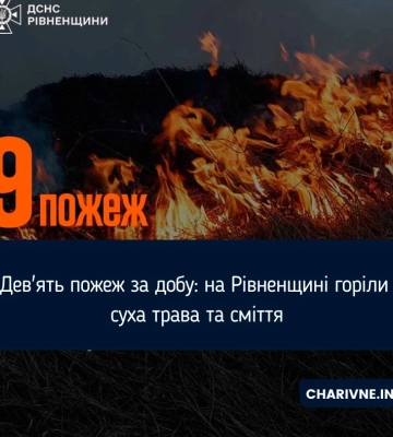 На Рівненщині за добу виникло 9 пожеж: горіли сухостій і сміття
