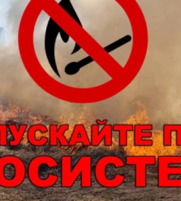 ДСНС Львівщини закликає припинити підпали сухої трави