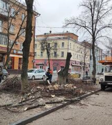 У Полтаві не можуть спиляти аварійні дерева через відсутність високого автопідіймача