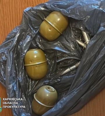 Ексберкутівець та його дружина передавали ворогу інформацію про Сили оборони
