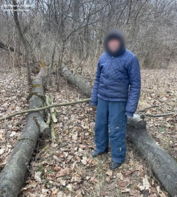 На Дубенщині чоловік вирубував дерева на території заповідника