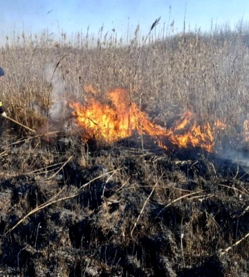 На  Волині  виявили палія сухої рослинності