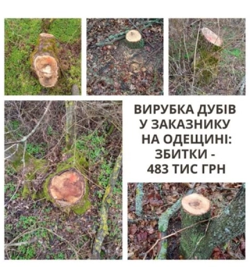 У ландшафтному заказнику на Одещині невідомі вирубали дерева