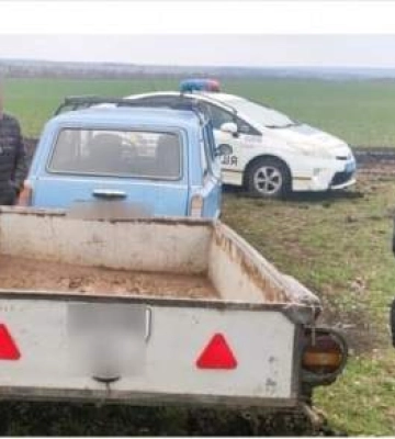 Мешканець Миколаївщини отримає вагомий штраф за зрубаний дуб