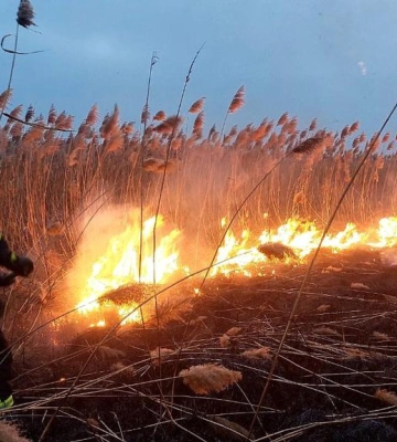 Через необережність на Волині сталися дві пожежі сухої рослинності