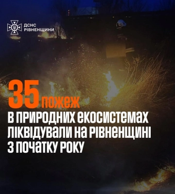 35 пожеж в екосистемах ліквідували на Рівненщині від початку року