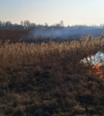 У громаді на Волині підтоплено 300 гектарів сільськогосподарських угідь