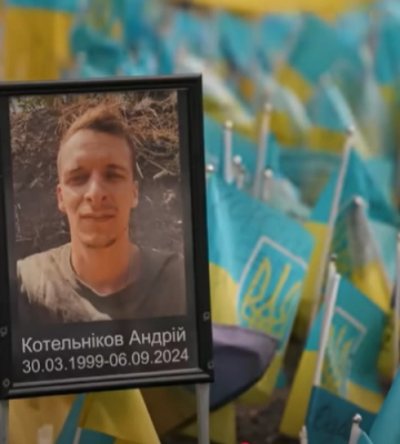 На Волині «чорні лісоруби» незаконно зрізали понад 100 дерев вільхи