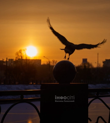 Новини Харкова — головне за 13 лютого: як минула ніч