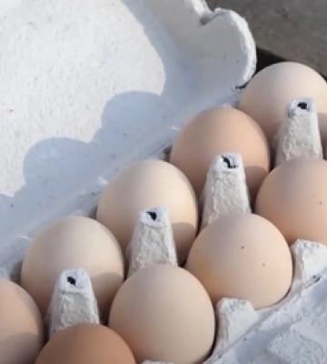 На луцькому ринку значно впали ціни на продукти: що здешевшало (відео)