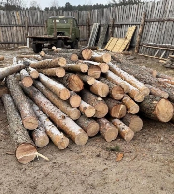 Незаконну порубку лісу викрили на Рівненщині