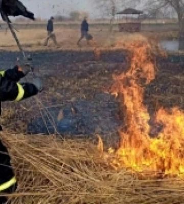 У Ковельському районі на паліїв сухостою склали два протоколи