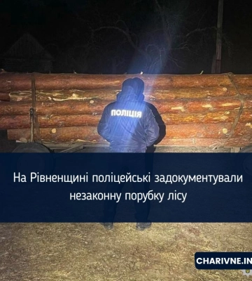 На Рівненщині поліцейські задокументували незаконну порубку лісу