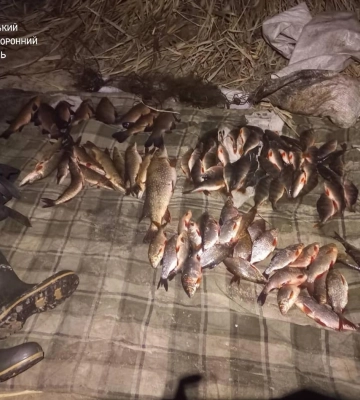 На Черкащині чоловік незаконно виловив рибу і завдав збитків на понад 240 тисяч