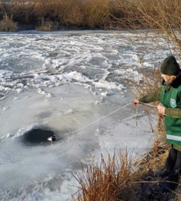 На Рівненщині перевірять воду у річці Горинь