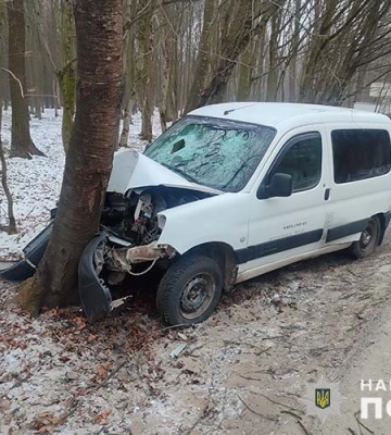На Тернопільщині поїздку п’яного водія зупинило дерево: постраждали він сам та пасажир