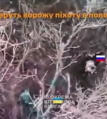 Воїни 3 ОШБр зайшли на ворожі позиції та полонили російських солдатів на Харківщині. ВIДЕО