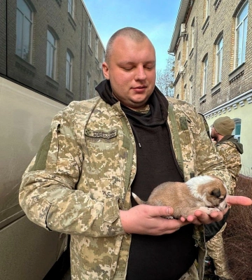Волинський прикордонник врятував цуценя із зони бойових дій 