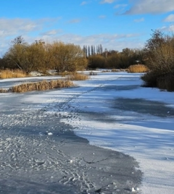 Перехоплює подих від краси: у мережі показали фото луцьких ставків 