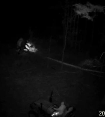 На Рівненщині фотопастка зафіксувала лісорубів «на гарячому» (ВІДЕО)