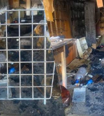 У Львові згорів гараж з безпритульними котами