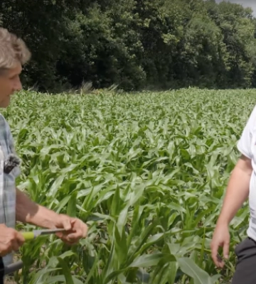 Досвід переходу на No-till фермера з Полтавщини