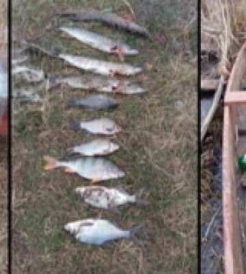 На Волині викрили двох браконьєрів, які наловили риби на понад 90 тисяч гривень