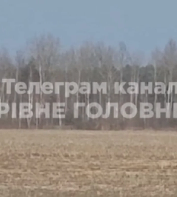 На Рівненщині неподалік міста помітили зграю вовків (відео)