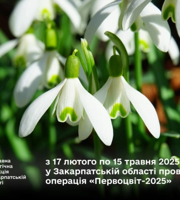 На Закарпатті стартувала операція «Первоцвіт-2025»