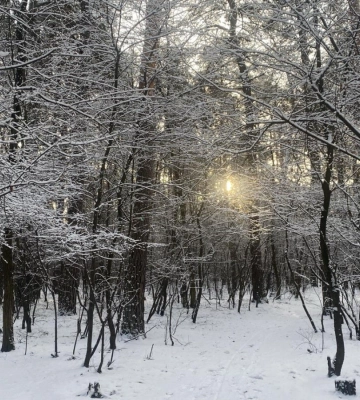 Завтра температура в Києві підніметься до -3°