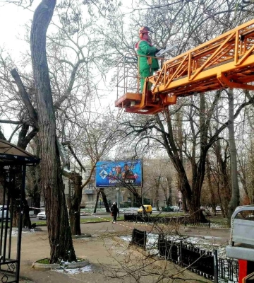 До уваги водіїв: в Одесі на Троїцькій корчують пні