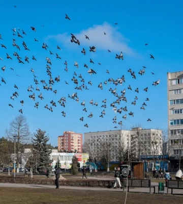 Радіаційний стан навколо Хмельницької АЕС в межах норми
