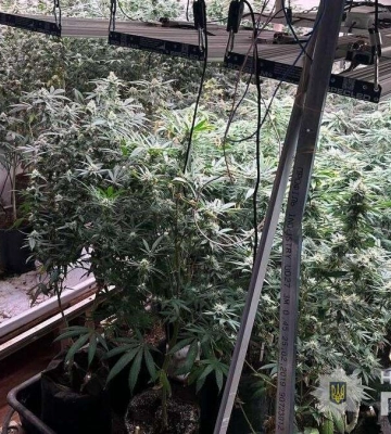 Нацполіція ліквідувала наркоугруповання на Дніпропетровщині: вилучено наркотиків на 14 мільйонів