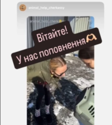 Ведуча з Чернівців Ірина Сопонару взяла кота з притулку і довела до сліз шанувальників