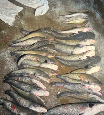 Госэкоинспекция на Днепре задержала браконьера: ущерб государству – 216 тысяч гривен