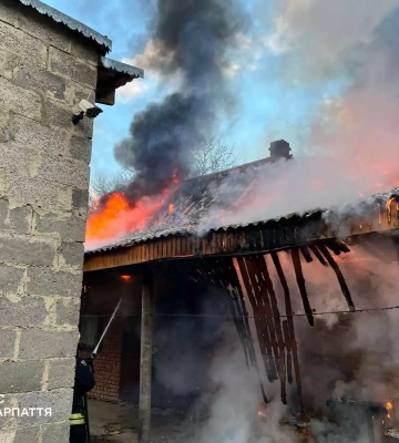 У лісовому масиві на Ужгородщині знайшли живою 66-річну жінку, яку шукали 6 днів