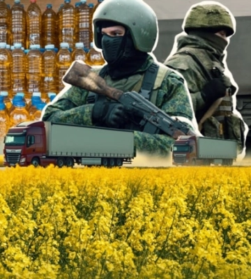 Як ріпак, вивезений із окупованої Херсонщини, перетворюють на олію в Білорусі і продають в ЄС (розслідування)