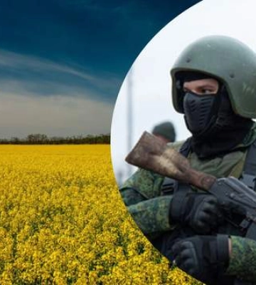 Деньги не пахнут: Европа покупает белорусское масло из рапса, украденного на Херсонщине