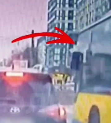 У Львові оштрафували водія автобуса, що порушив ПДР. Відео