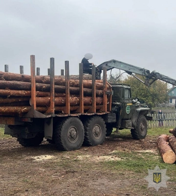 На Волині чотирьох фігурантів підозрюють у масштабній незаконній вирубці лісу. ФОТО